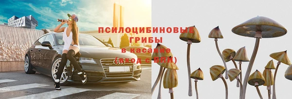 СК Алексин
