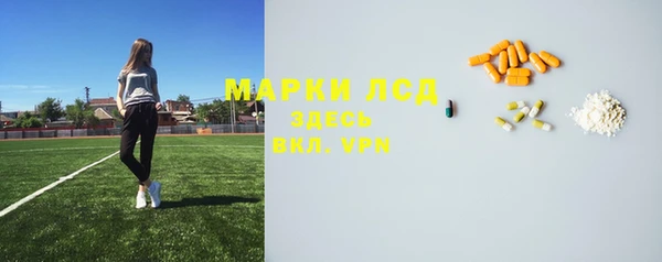 apvp Алзамай