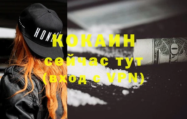 стафф Осинники