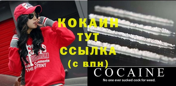 стафф Осинники